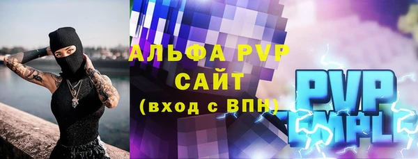 стаф Аркадак